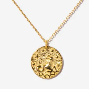 Capricorn Zodiac Coin Necklace