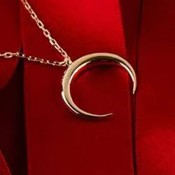 Cosmic Horn Tusk Necklace Gold